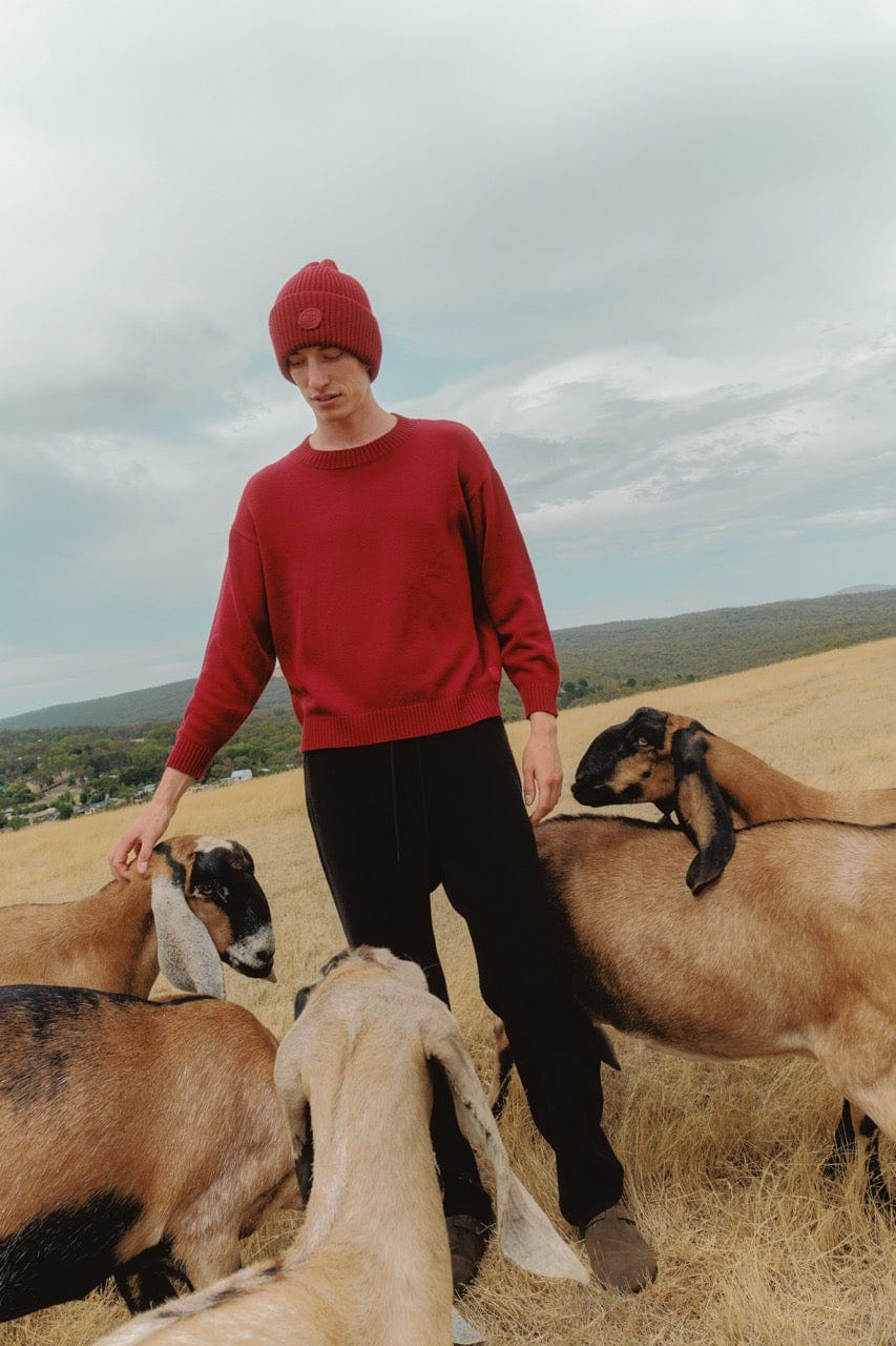 Merino-Blend Beanie - Image 16
